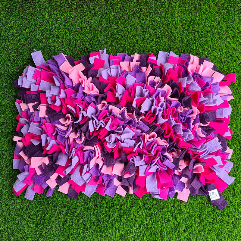 50x30cm-Snuffling-Mat-06